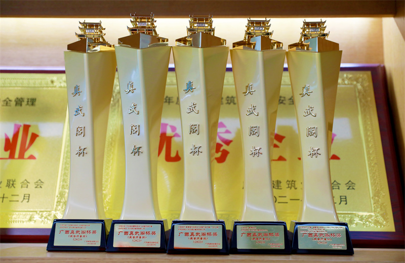 2024年5月9日，中天八建承建的南寧萬科金域國際一期、柳州萬科城怡璟、匯景花園、大唐碧園西園、崇左碧桂園公園上城項目獲2024年度廣西建設工程最高質量獎“真武閣杯”獎。